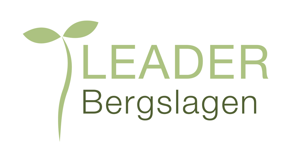 Leader Bergslagen